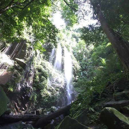 Belum Rainforest Resort Gerik Kültér fotó