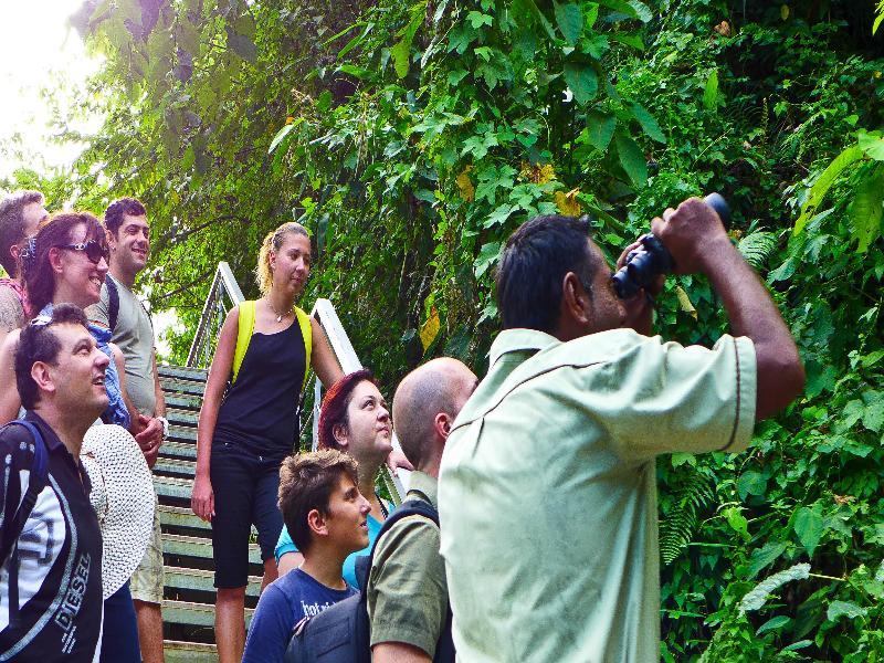 Belum Rainforest Resort Gerik Kültér fotó