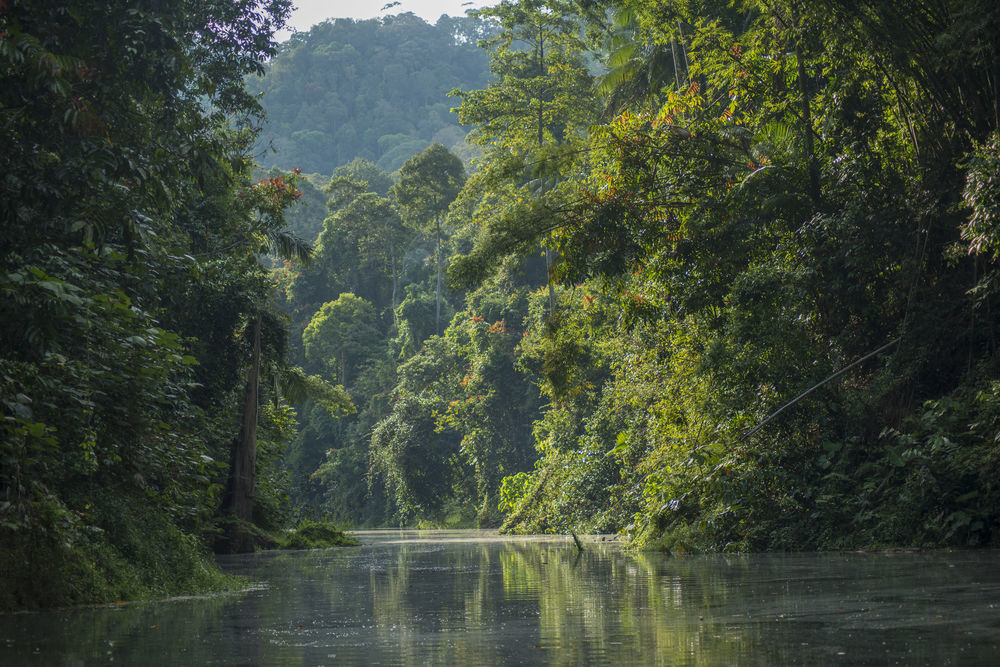 Belum Rainforest Resort Gerik Kültér fotó